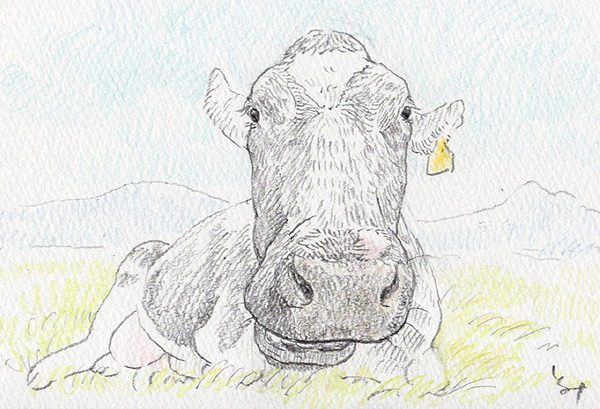 Works – MIHO TOMITA