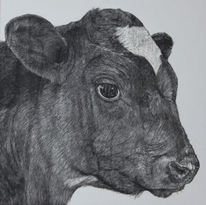 Works – MIHO TOMITA