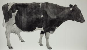 Works – MIHO TOMITA